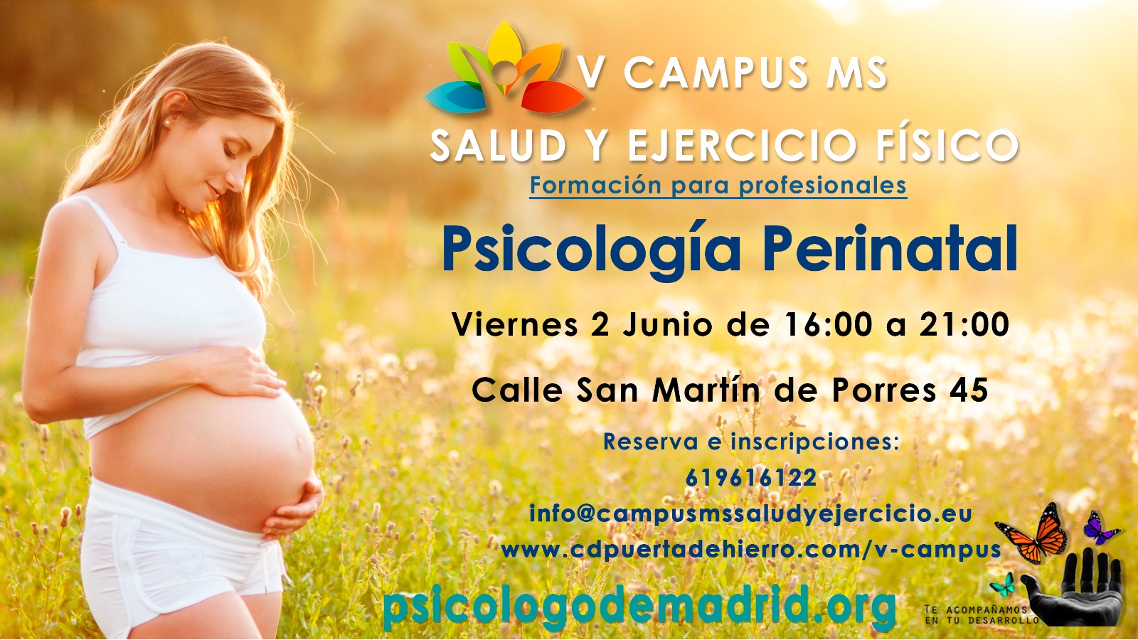 curso de psicologia perinatal para profesionales de la salud que trabajen con mujeres madre embarazadas