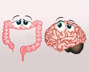 Eje intestino-cerebro: cómo la microbiota influye en tus emociones y tu salud mental