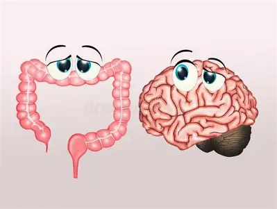 "intestino segundo cerebro"