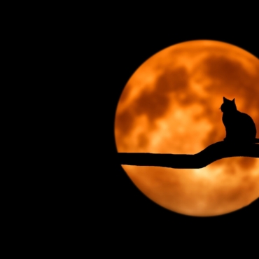 Más allá del disfraz: por qué nuestra mente necesita rituales como Halloween o el Día de Muertos